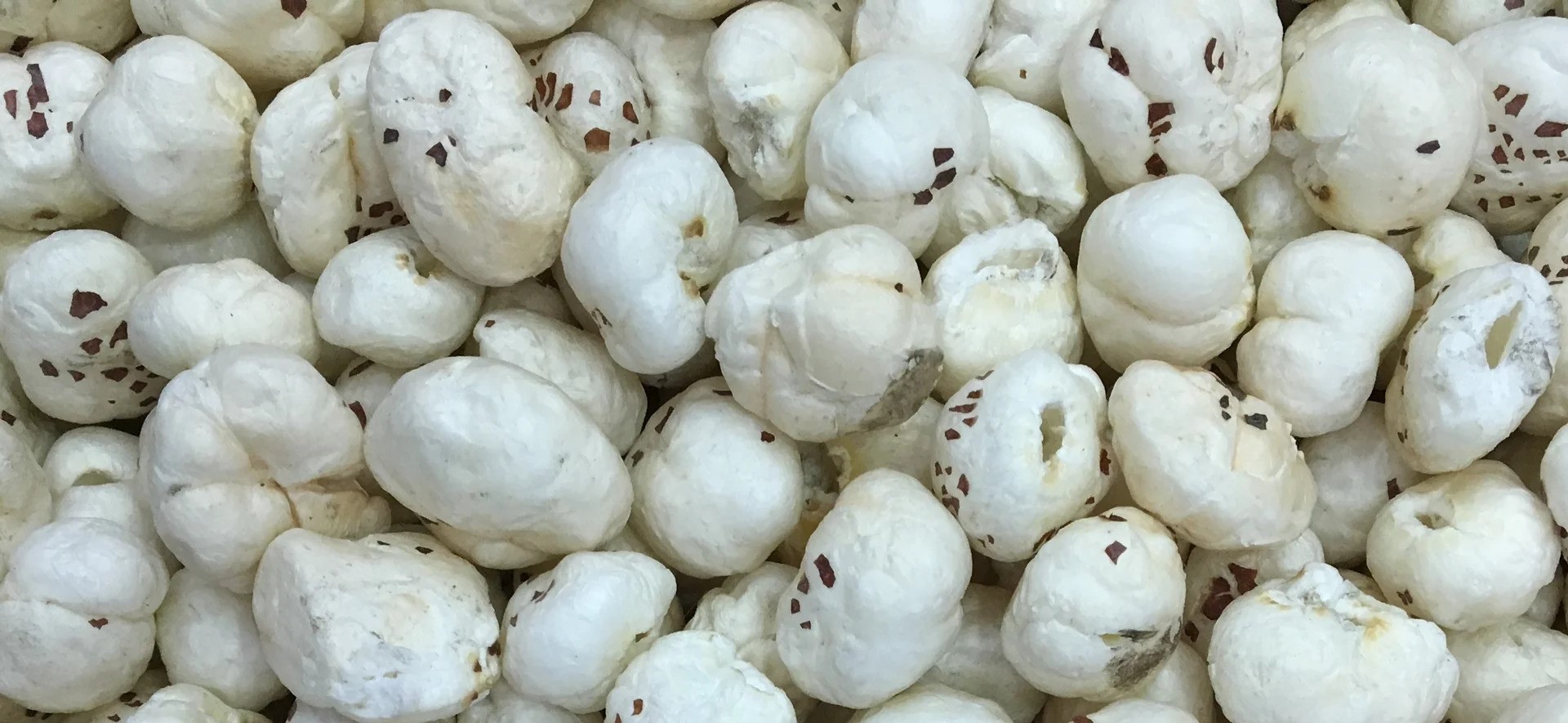 makhana (foxnuts)